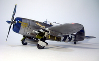 P-47D Thunderbolt,Hasegawa,1/48.