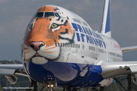 Boeing 747-400 Трансаеро 1/144 Амурский тигр!
