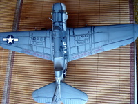 sb2c-4 helldiver,Accurate Miniature,1/48.