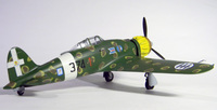 Aermacchi C.200  Special Hobby 1/48 постройка