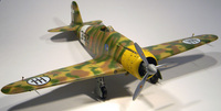 Flying Machines  1/48 Fiat G.50 bis