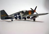 Mustang P-51B,Tamiya 1/48.