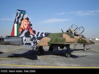 F-5F Tiger II 1/48 AFV Club