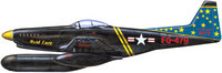 ModelCraft 1/48 Twin Mustang