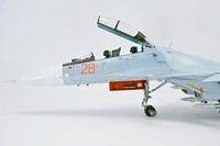 Су-30 СМ (М 1:48 HOBBY BOSS+конверсия) (ГОТОВО)