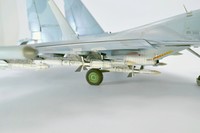 Су-30 СМ (М 1:48 HOBBY BOSS+конверсия) (ГОТОВО)