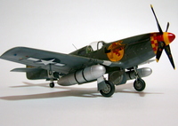 Mustang P-51B,Tamiya 1/48.