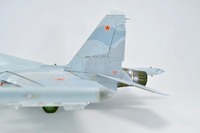 Су-30 СМ (М 1:48 HOBBY BOSS+конверсия) (ГОТОВО)