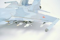 Су-30 СМ (М 1:48 HOBBY BOSS+конверсия) (ГОТОВО)