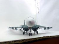 Су-33 от Звезды 1/72